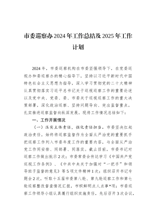 市委巡察办2024年工作总结及2025年工作计划