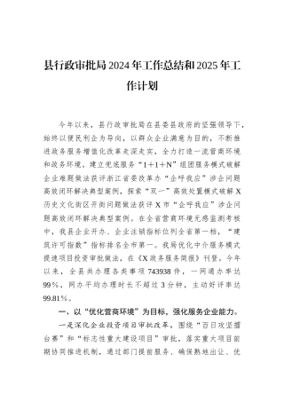 县行政审批局2024年工作总结和2025年工作计划