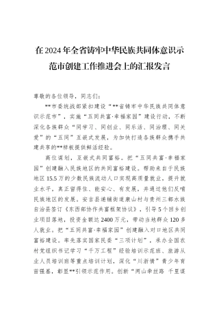 在2024年全省铸牢中华民族共同体意识示范市创建工作推进会上的汇报发言