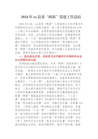 2024年xx县委“两新”党建工作总结