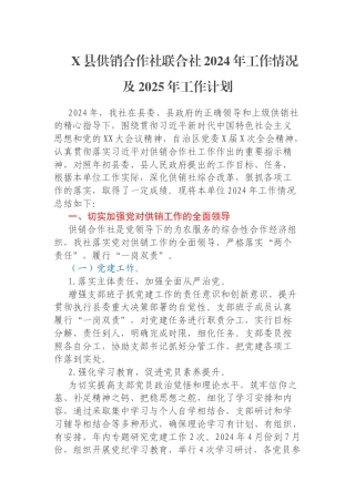 X县供销合作社联合社2024年工作情况及2025年工作计划