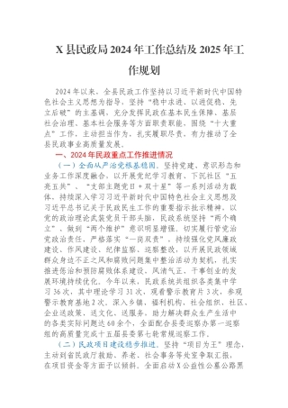 X县民政局2024年工作总结及2025年工作规划