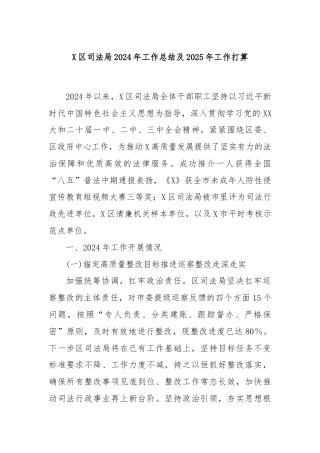 X区司法局2024年工作总结及2025年工作打算