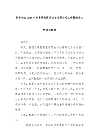 副市长在2024年全市禁毒防艾三年攻坚行动工作推进会上的讲话提纲