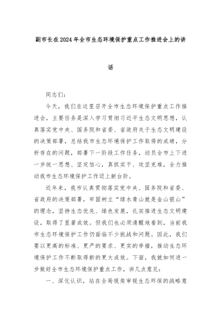 副市长在2024年全市生态环境保护重点工作推进会上的讲话