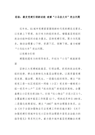 经验：激发党建引领新动能 破解“小马拉大车”突出问题
