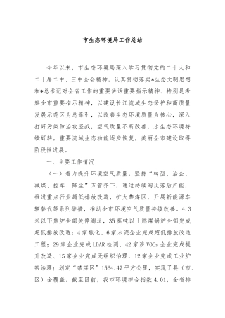 市生态环境局工作总结