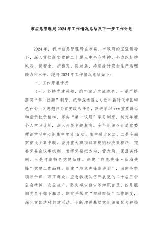 市应急管理局2024年工作情况总结及下一步工作计划
