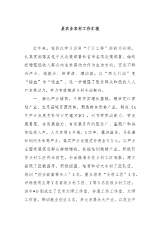 县农业农村工作汇报