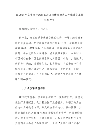 在2024年全市全市深化医药卫生体制改革工作推进会上的汇报发言