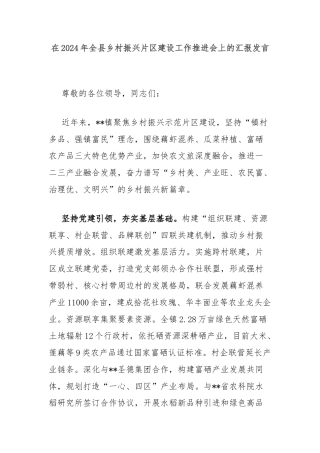 在2024年全县乡村振兴片区建设工作推进会上的汇报发言