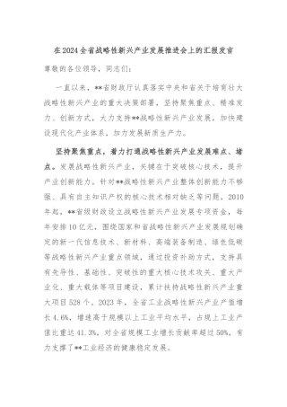 在2024全省战略性新兴产业发展推进会上的汇报发言