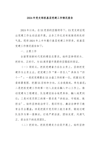 2024年党支部抓基层党建工作情况报告