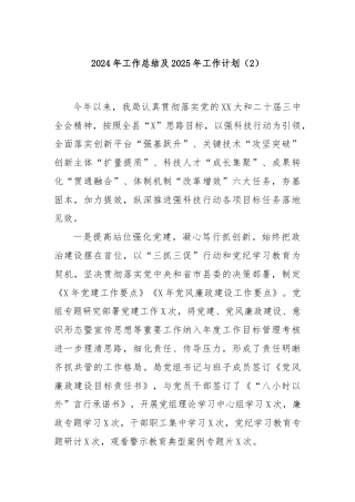 2024年工作总结及2025年工作计划（2）