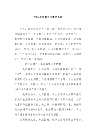 2024年招商工作情况总结