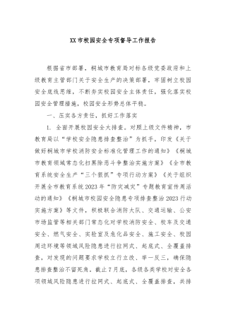 XX市校园安全专项督导工作报告