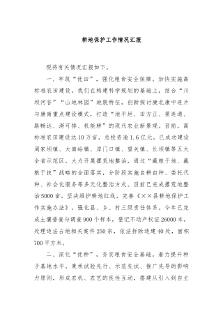 耕地保护工作情况汇报