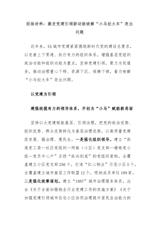 经验材料：激发党建引领新动能破解“小马拉大车”突出问题