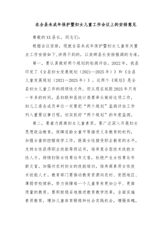 在全县未成年保护暨妇女儿童工作会议上的安排意见