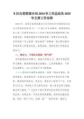 X区自然资源分局2024年工作总结及2025年主要工作安排