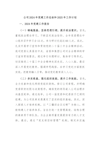 公司2024年党建工作总结和2025年工作计划