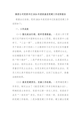 集团公司党委书记2024年度抓基层党建工作述职报告