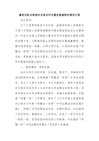 廉政风险点排查和自查自纠及整改措施制定情况汇报