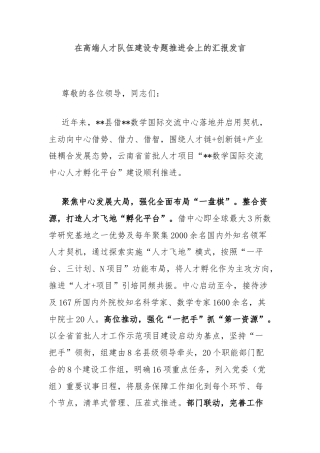 在高端人才队伍建设专题推进会上的汇报发言