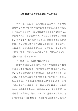X镇2024年工作情况及2025年工作计划