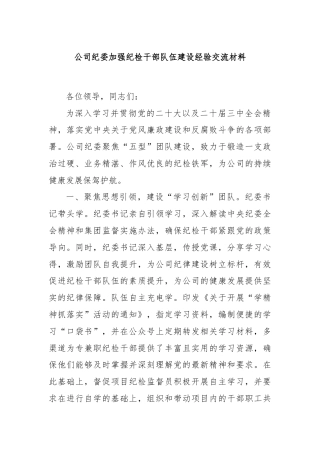 公司纪委加强纪检干部队伍建设经验交流材料