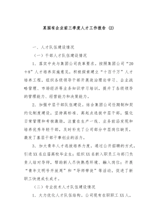 某国有企业前三季度人才工作报告 (2)