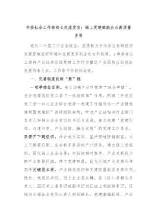 市委社会工作部部长交流发言：链上党建赋能企业高质量发展