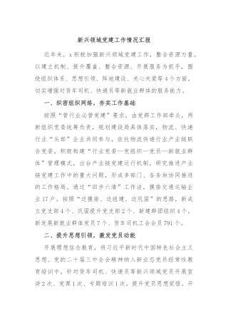 新兴领域党建工作情况汇报