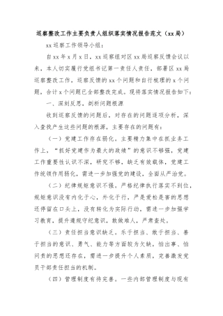 巡察整改工作主要负责人组织落实情况报告范文（xx局）
