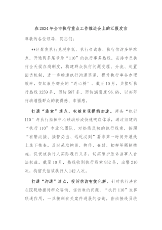 在2024年全市执行重点工作推进会上的汇报发言
