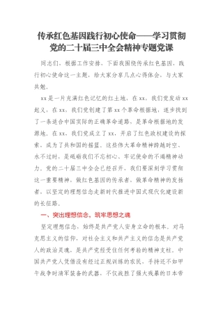 传承红色基因践行初心使命——学习贯彻党的二十届三中全会精神专题党课