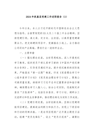 2024年抓基层党建工作述职报告（3）
