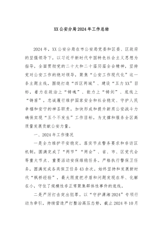 XX公安分局2024年工作总结