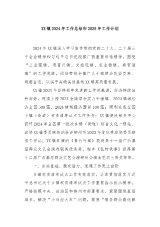 XX镇2024年工作总结和2025年工作计划