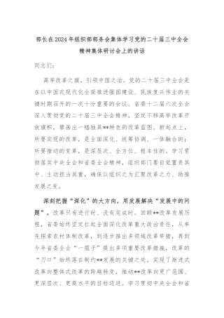部长在2024年组织部部务会集体学习党的二十届三中全会精神集体研讨会上的讲话