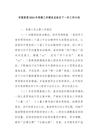 市国资委2024年党建工作情况总结及下一步工作计划