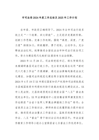 市司法局2024年度工作总结及2025年工作计划