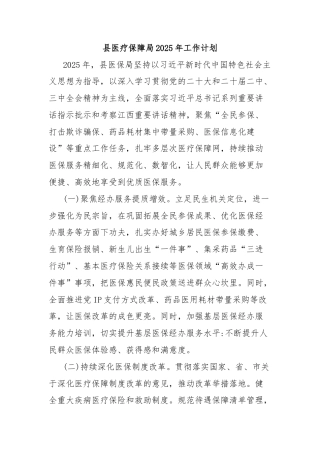 县医疗保障局2025年工作计划