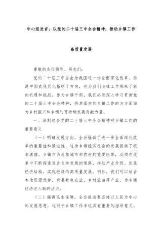 中心组发言：以党的二十届三中全会精神，推动乡镇工作高质量发展