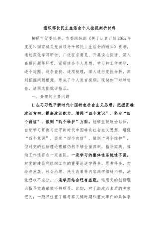 组织部长民主生活会个人检视剖析材料