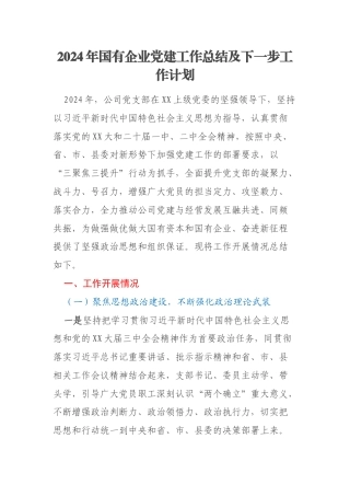 2024年国有企业党建工作总结及下一步工作计划