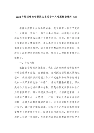 2024年巡视整改专题民主生活会个人对照检查材料（2）
