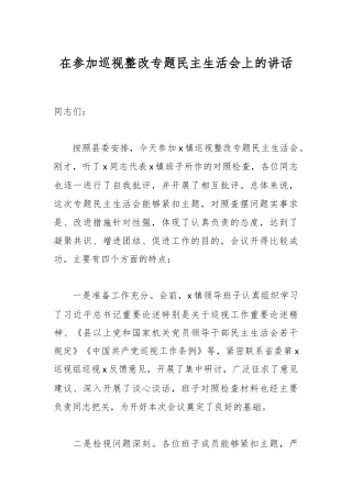 在参加巡视整改专题民主生活会上的讲话