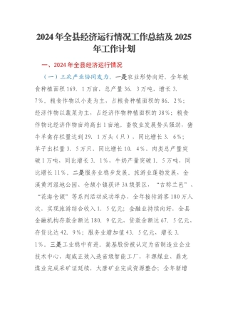 2024年全县经济运行情况工作总结及2025年工作计划