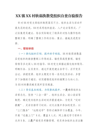 XX镇XX村软弱涣散党组织自查自验报告